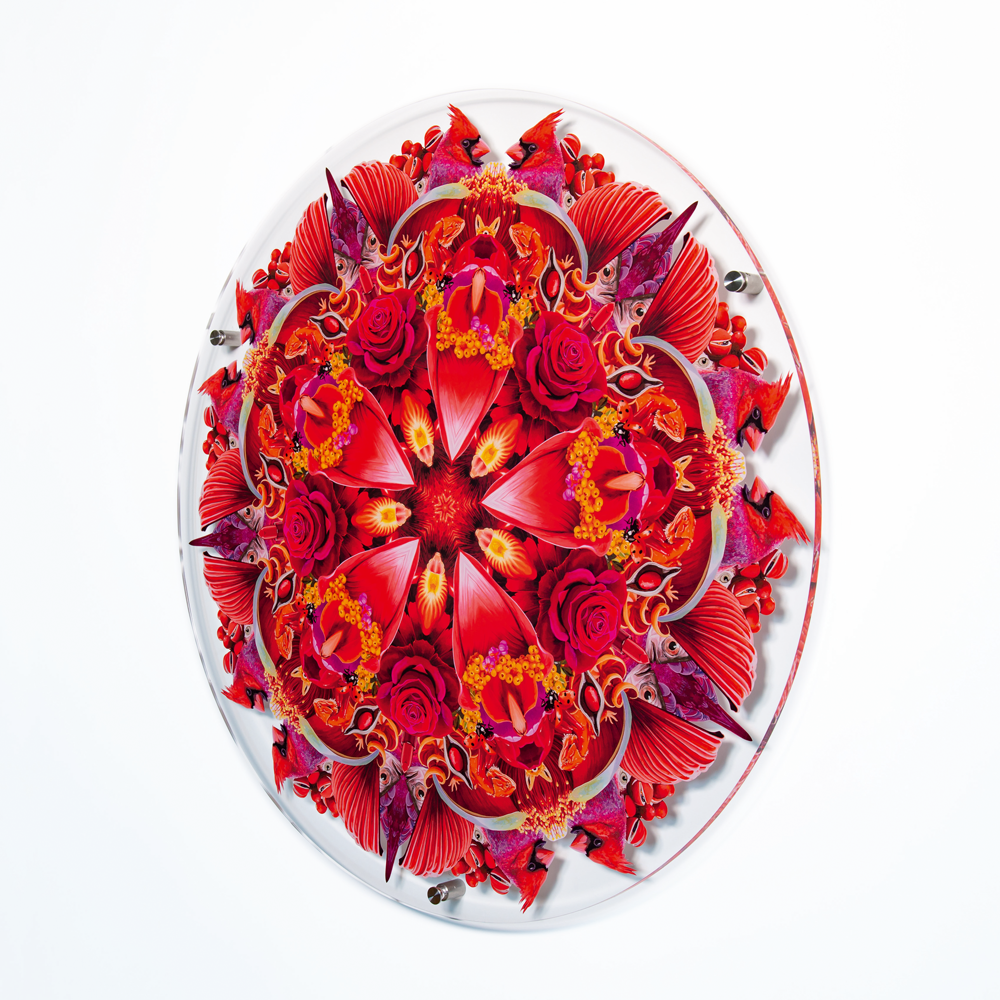 Acrylglas Rot
